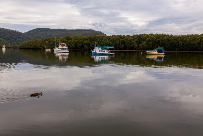 Photo of river with boats