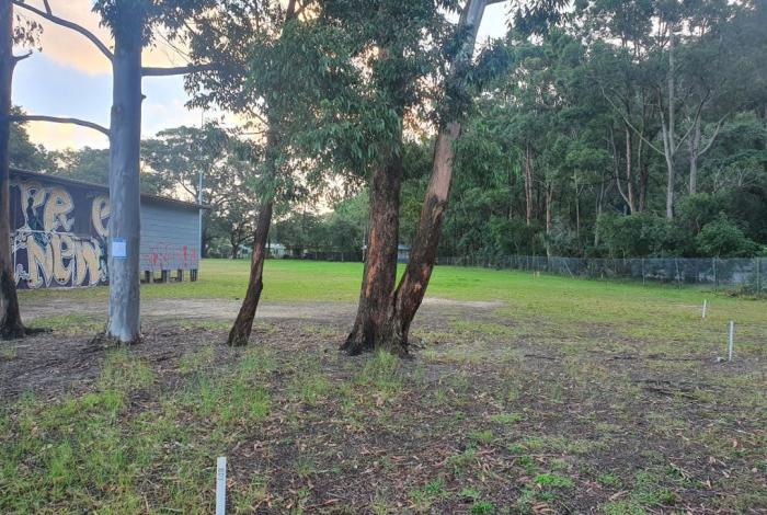 Licence of community land at Ettalong Beach