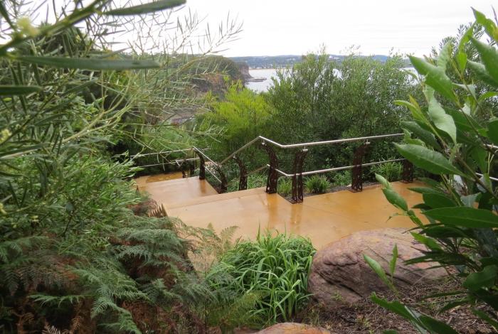 Stage 1 stairs after vegetation growth.