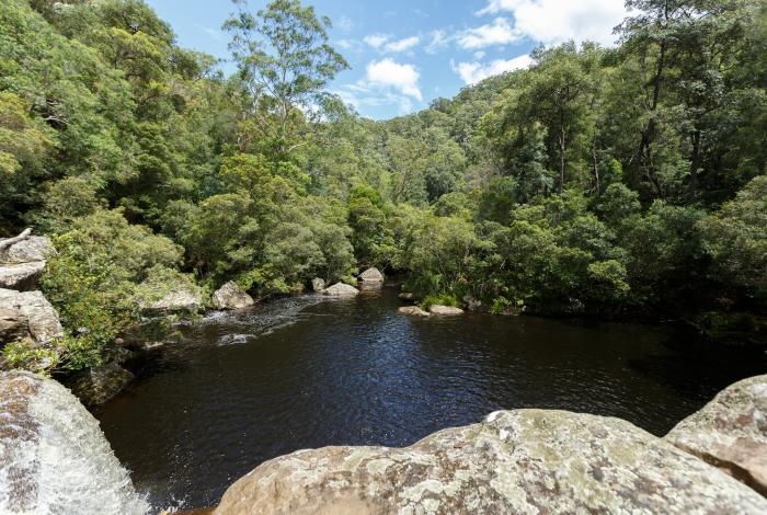 Photo of Mooney Creek Waterfall