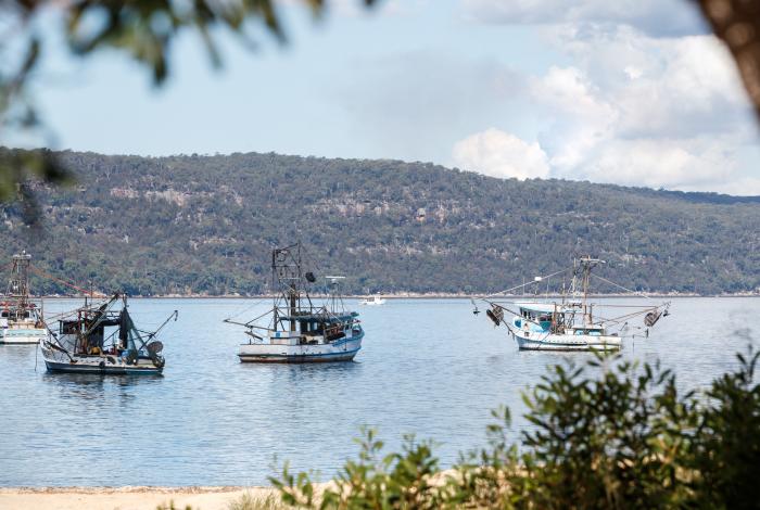 Photo of boats at Patonga Beach