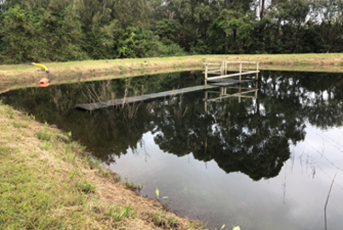 Image of Wet Weather Pond Emergency Discharge Point.