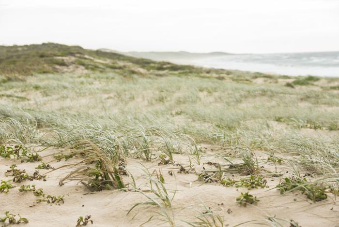 Image of beach